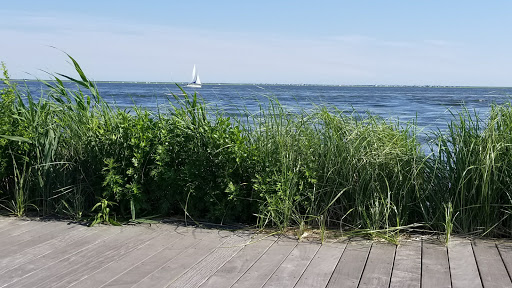 Skateboard Park «Tanner Skate Park», reviews and photos, 400 Baylawn Ave, Copiague, NY 11726, USA