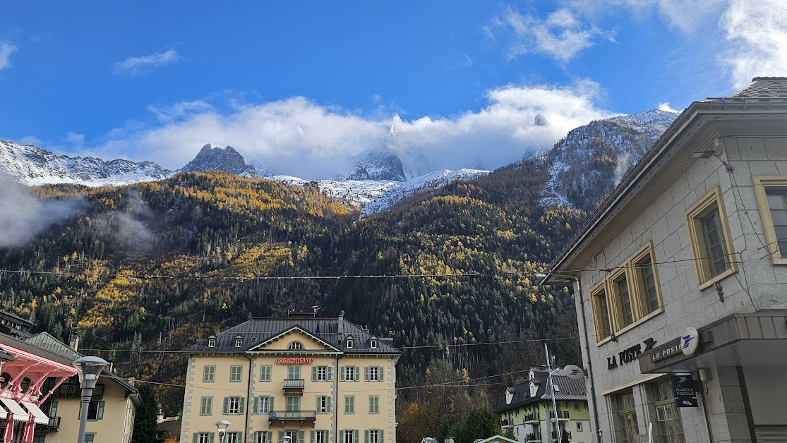 Agence Immobilière AIM Chamonix-Mont-Blanc; Haute-Savoie Chamonix-Mont-Blanc