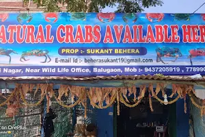 Natural crabs Available Here image