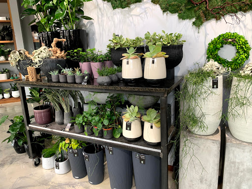 Florist «Red Square Flowers», reviews and photos, 337 W Mifflin St, Madison, WI 53703, USA