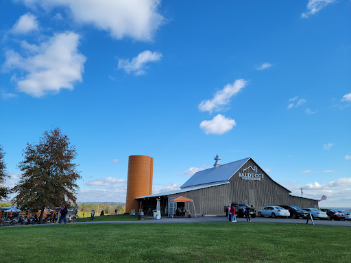 Winery «Balducci Vineyards», reviews and photos, 6601 S Missouri 94, Augusta, MO 63332, USA