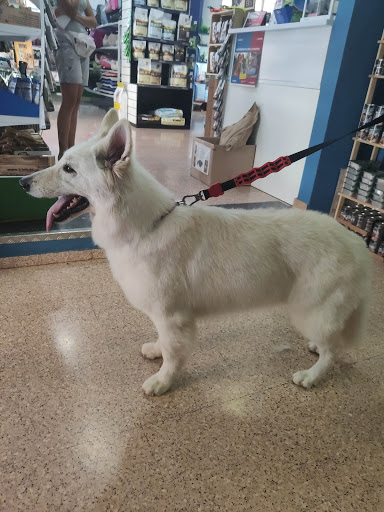 Mivet Clínica Veterinaria Crevillente en Crevillent