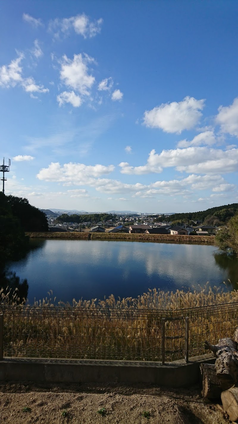 平原池