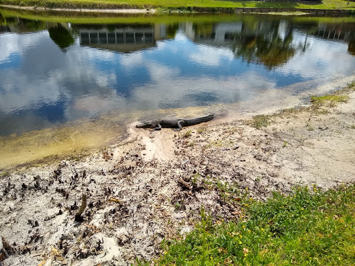 Golf Course «Indianwood Golf & Country Club», reviews and photos, 14007 SW Golf Club Dr, Indiantown, FL 34956, USA