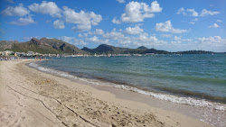 Photo de Plage de Pollença et le règlement