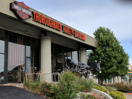 Harley-Davidson Dealer «Thoroughbred Harley-Davidson», reviews and photos, 8025 Action Blvd, Florence, KY 41042, USA