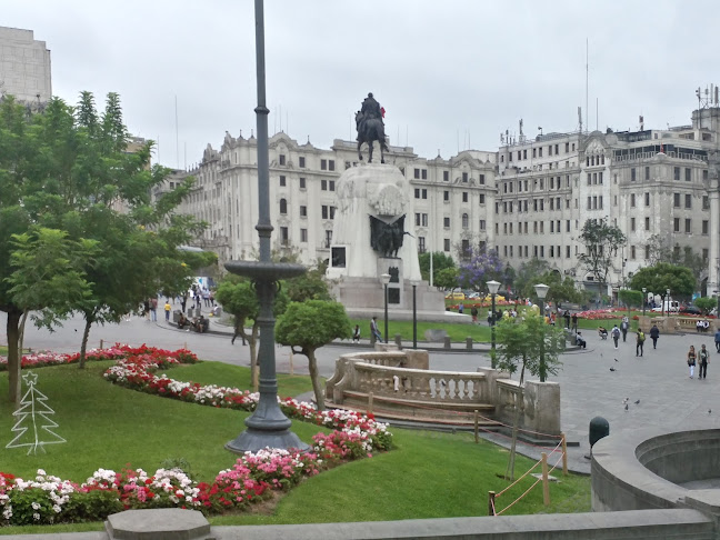Comentarios y opiniones de Plaza San Martín