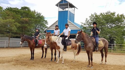 Horseback riding lessons Bangkok