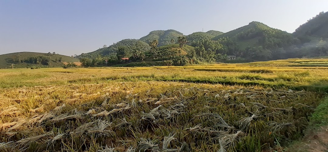 Trường tiểu học Mỹ Thuận 1