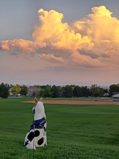 Park «Cherry Park Pavilion», reviews and photos, 11500 Birch Dr, Thornton, CO 80233, USA