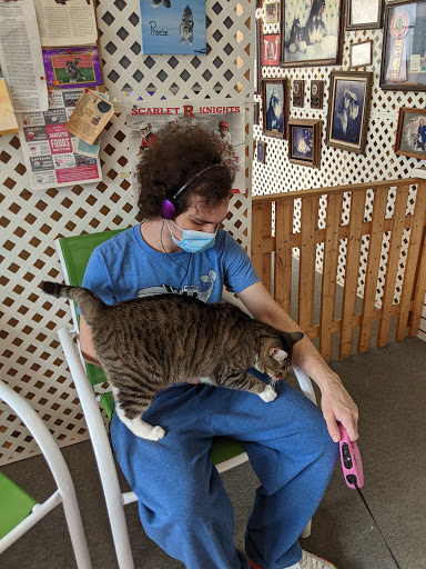 Pet Supply Store «Pet Headquarters», reviews and photos, 501 E Main St B, Palmyra, PA 17078, USA