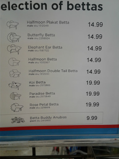 Pet Supply Store «Petco», reviews and photos, 1851 Sunrise Hwy, Bay Shore, NY 11706, USA