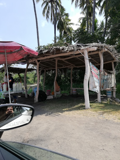 Tuba - Carretera, Colima Armería-El Paraíso, 28300 Cd de Armería, Col., Mexico