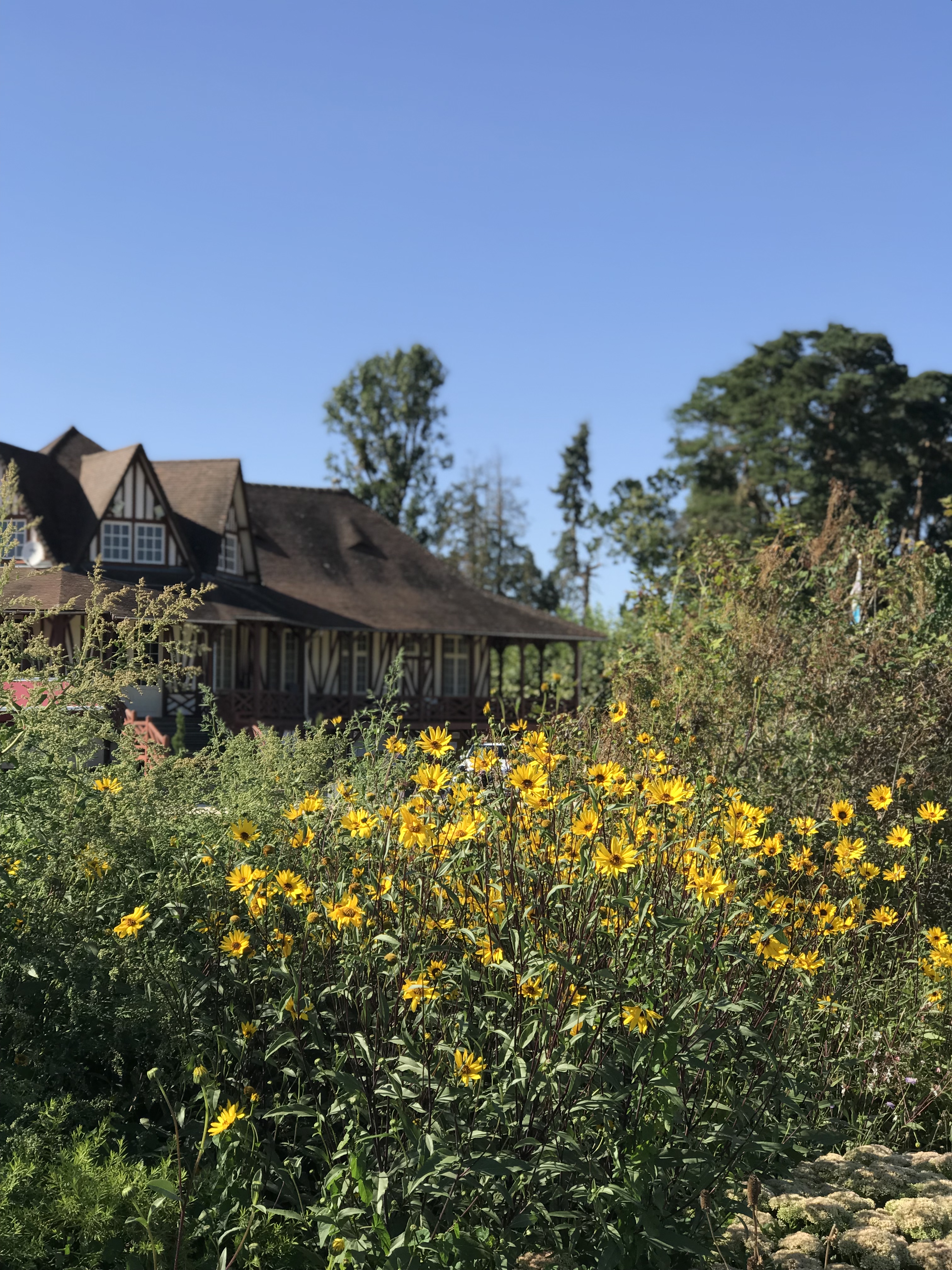 Photo n° 4 de l'avis de thierry.h fait le 01/08/2019 à 16:16