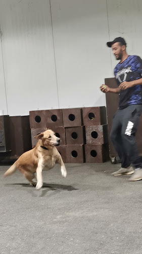 Arabian Kennels K9 Est
