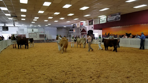 Kern County Fair Junior Livestock