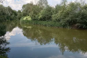 Lechința River image