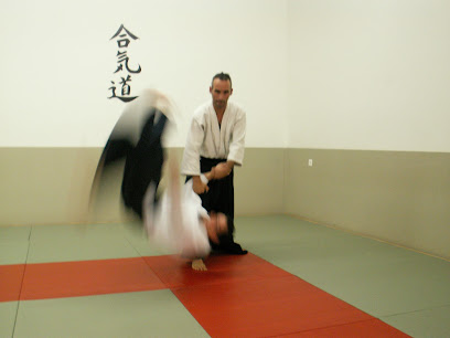 Aikido-Schule