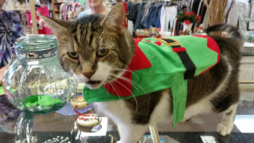 Shopping Mall «Promenade Shopping Plaza», reviews and photos, 9840 FL A1AAlt, Palm Beach Gardens, FL 33410, USA