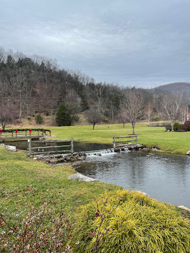 Resort «Smoke Hole Caverns», reviews and photos, 8290 N Fork Hwy, Cabins, WV 26855, USA