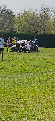 Clubs de rugby en Granada