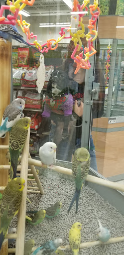 Pet Supply Store «Petco Animal Supplies», reviews and photos, 3680 Spencer Hwy, Pasadena, TX 77504, USA