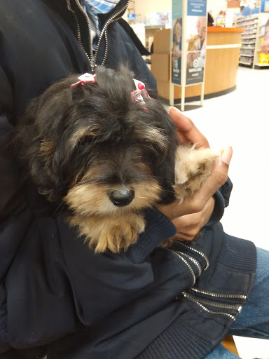 Pet Supply Store «PetSmart», reviews and photos, 4601 Outer Loop, Louisville, KY 40219, USA