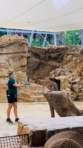 Zoo «Naples Zoo at Caribbean Gardens», reviews and photos, 1590 Goodlette-Frank Rd, Naples, FL 34102, USA