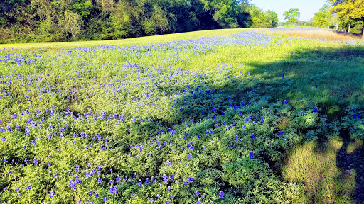 Park «Sergeant J.R. Hatch Park», reviews and photos, 17525 Katy Fwy, Houston, TX 77094, USA