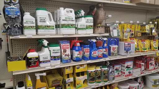 Hardware Store «Cumberland Ace Hardware & Lumber», reviews and photos, 2421 Superior Ave, Cumberland, WI 54829, USA