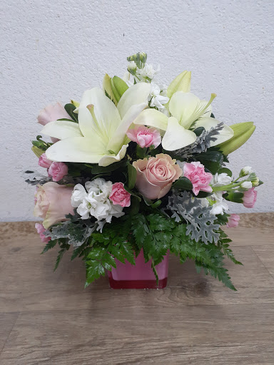 Florist «Mandarin Orchid House», reviews and photos, 3137 Stockton Hill Rd, Kingman, AZ 86401, USA