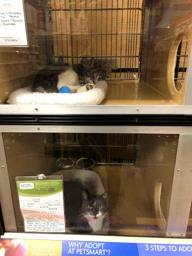 Pet Supply Store «PetSmart», reviews and photos, 2440 E Charleston Rd, Mountain View, CA 94043, USA