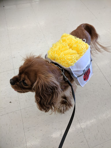 Pet Supply Store «Petco Animal Supplies», reviews and photos, 5961 Warner Ave, Huntington Beach, CA 92649, USA