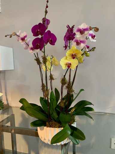 Florist «Abbott Florist», reviews and photos, 1008 71st St, Miami Beach, FL 33141, USA