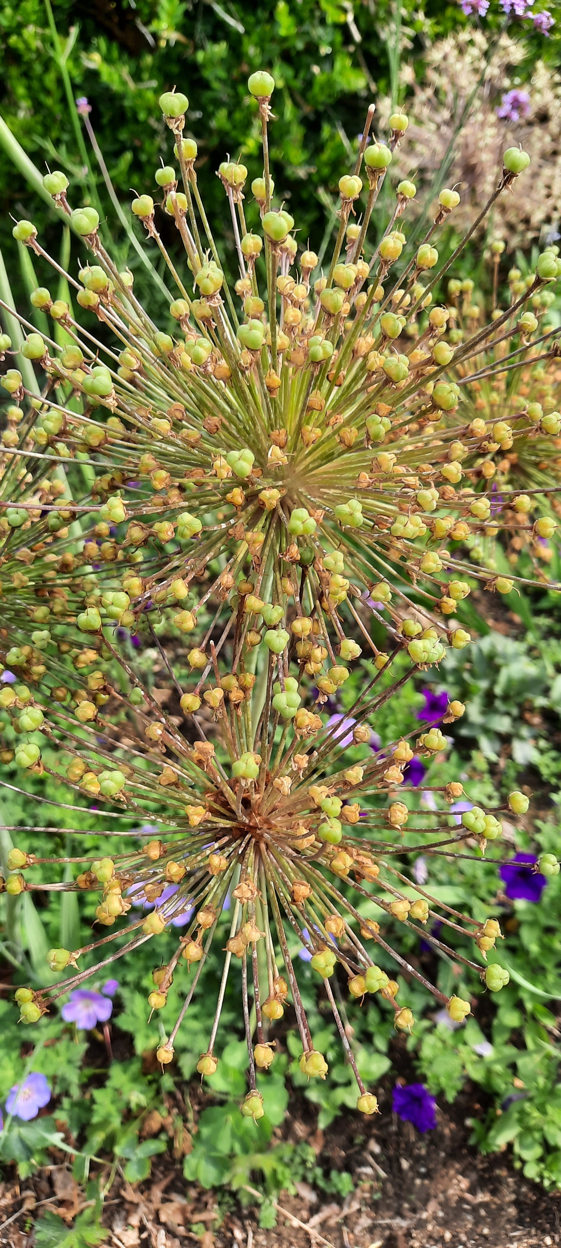 Photo n° 7 de l'avis de Guillaume.r fait le 18/06/2023 à 06:44