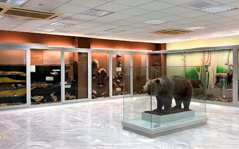 Natural History Museum of Marousi Municipality image