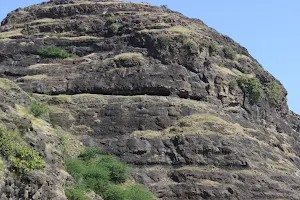 Bhamer Fort image