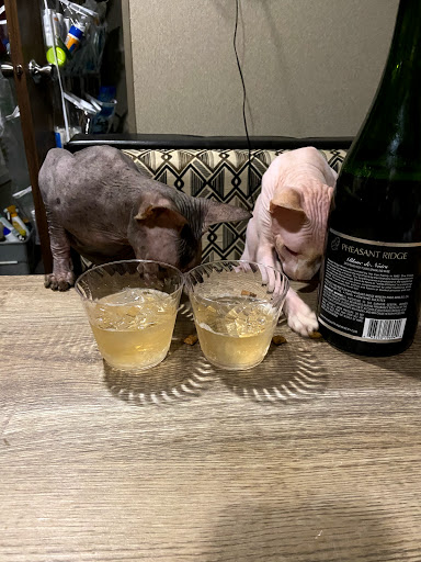 Winery «Pheasant Ridge Winery», reviews and photos, 3507 E County Road 5700, Lubbock, TX 79403, USA