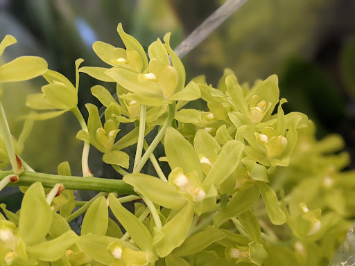 Home Improvement Store «The Home Depot», reviews and photos, 1095 Pullman St, Anaheim, CA 92807, USA