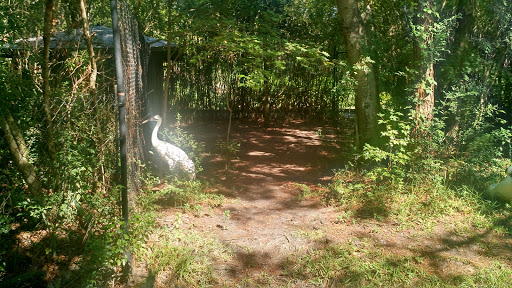 Zoo «Jacksonville Zoo and Gardens», reviews and photos, 370 Zoo Pkwy, Jacksonville, FL 32218, USA