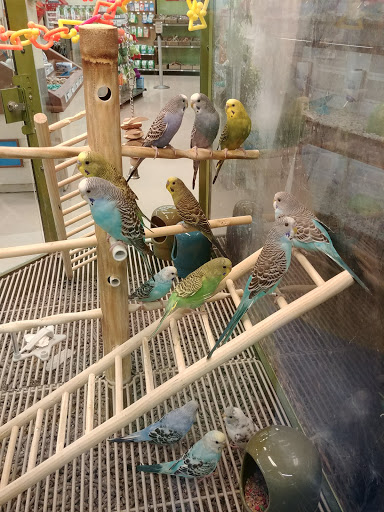 Pet Supply Store «Petco Animal Supplies», reviews and photos, 169 Brooklawn St, Farragut, TN 37934, USA