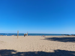 Cedar Beach Conservation Area'in fotoğrafı çok temiz temizlik seviyesi ile