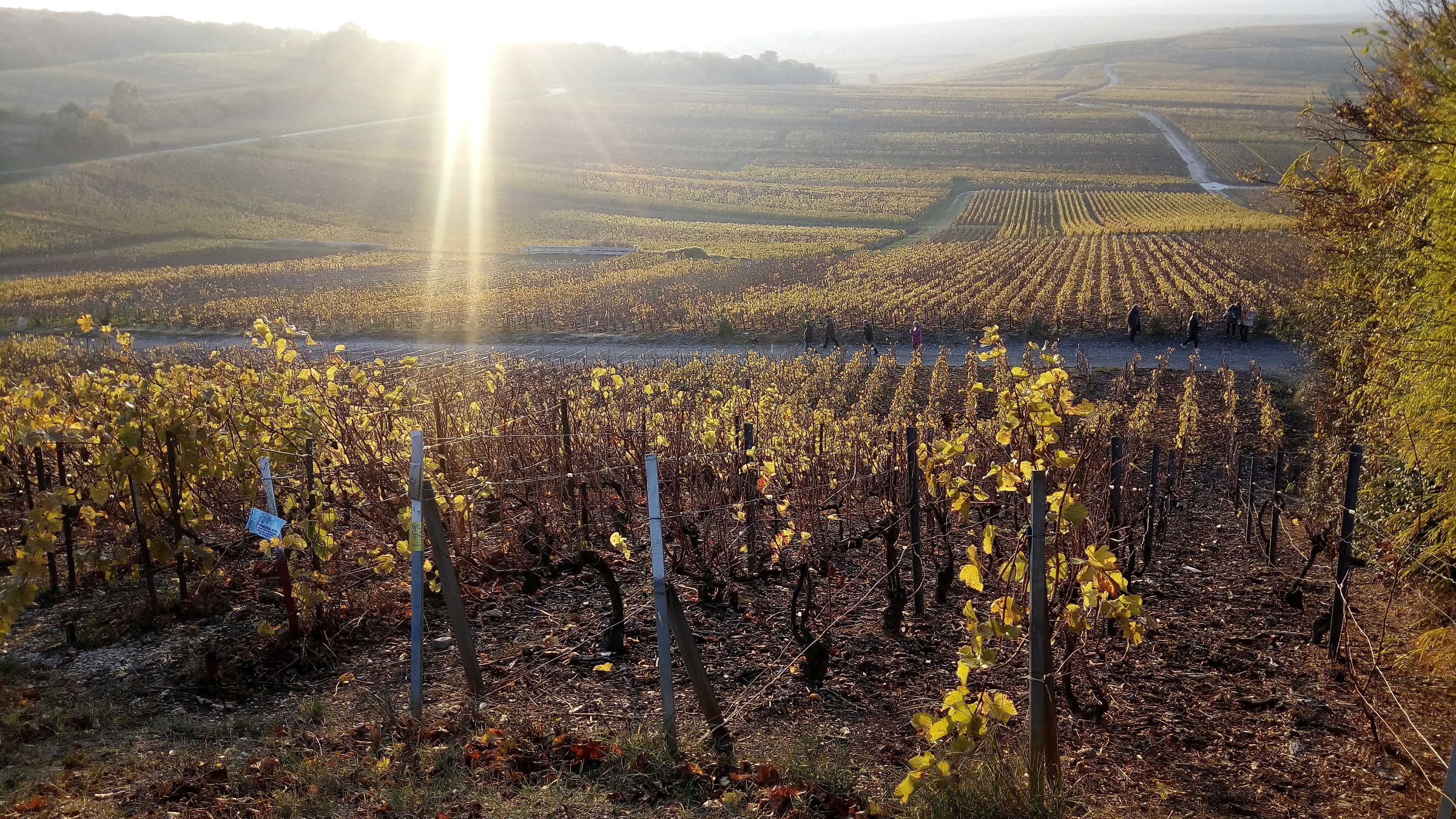 Photo n° 5 de l'avis de Jerome.i fait le 21/01/2019 à 11:52