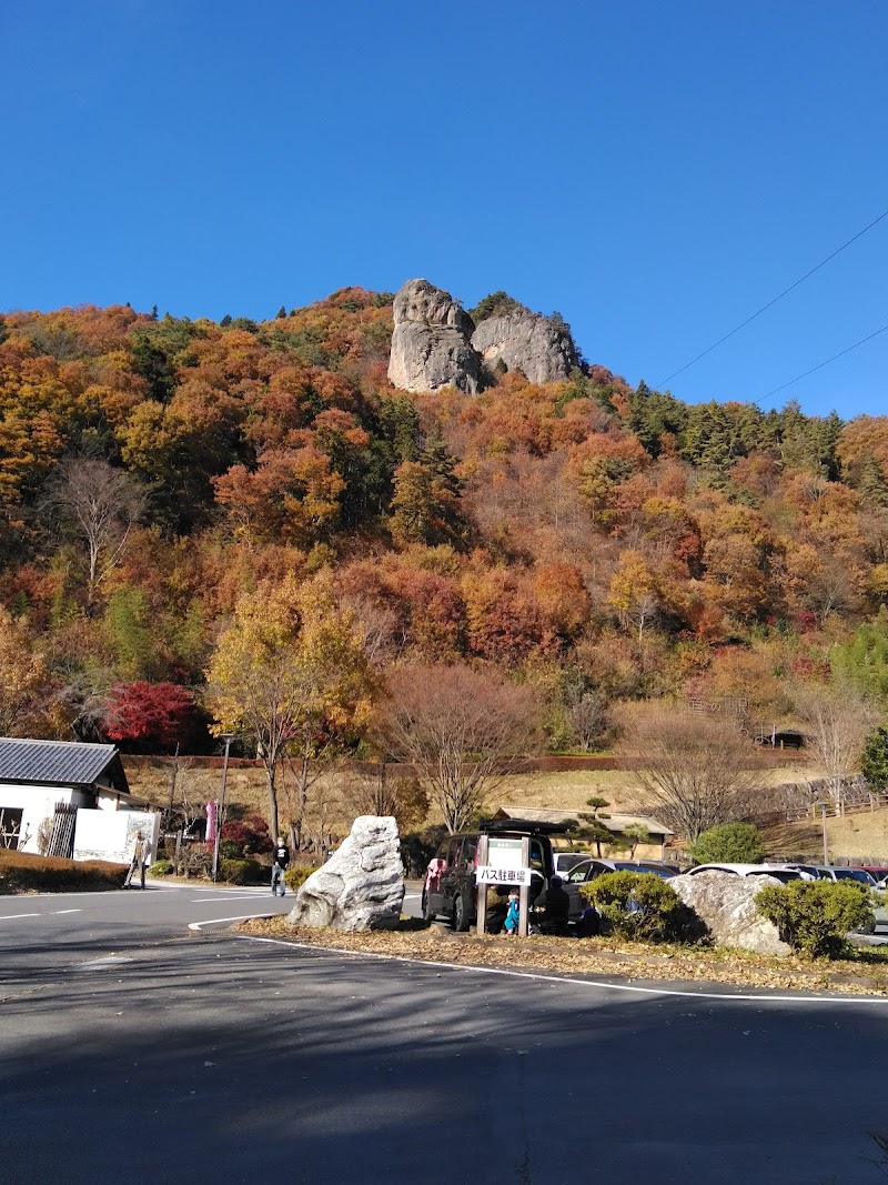 上野・嶽山城跡