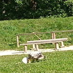 Photo n° 4 de l'avis de Annick.o fait le 05/10/2021 à 14:32 pour Espace Rambouillet à Sonchamp