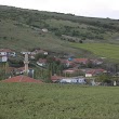 Yazıyolu Köyü Muhtarlığı