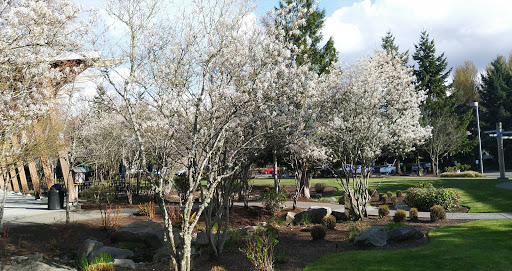 Camping Store «REI Headquarters», reviews and photos, 6750 S 228th St, Kent, WA 98032, USA