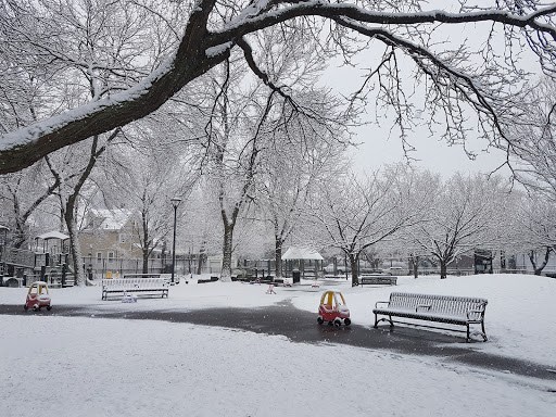 City Park «Gerald Bergin Park», reviews and photos, Haskell Street & Pemberton St, Cambridge, MA 02140, USA