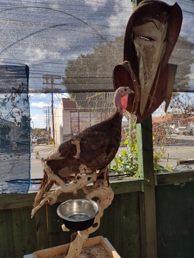 Pet Supply Store «Pet Care Inc.», reviews and photos, 2500 East Cesar E Chavez Avenue, Los Angeles, CA 90033, USA