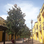 Photo n°2 de l'avis de Claudio.a fait le 05/08/2021 à 06:05 sur le  Rossi Ristorante à Arrone